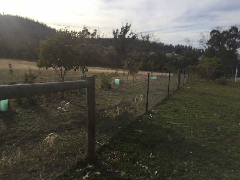 84 Arthur Hwy, Dunalley TAS 7177