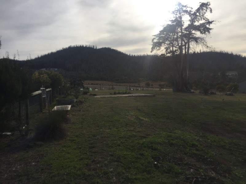 84 Arthur Hwy, Dunalley TAS 7177