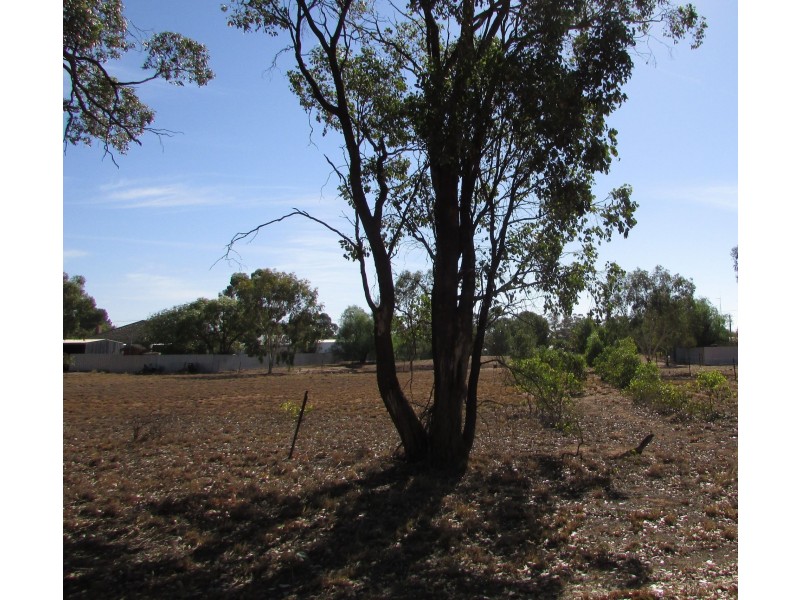 17 Kurrajonong Street, Barellan NSW 2665