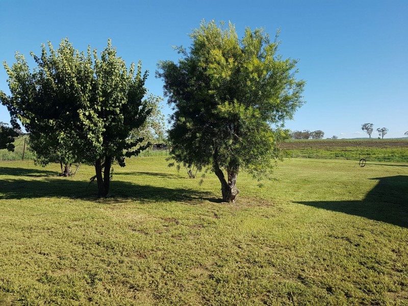 63 High St, Bunnan NSW 2337