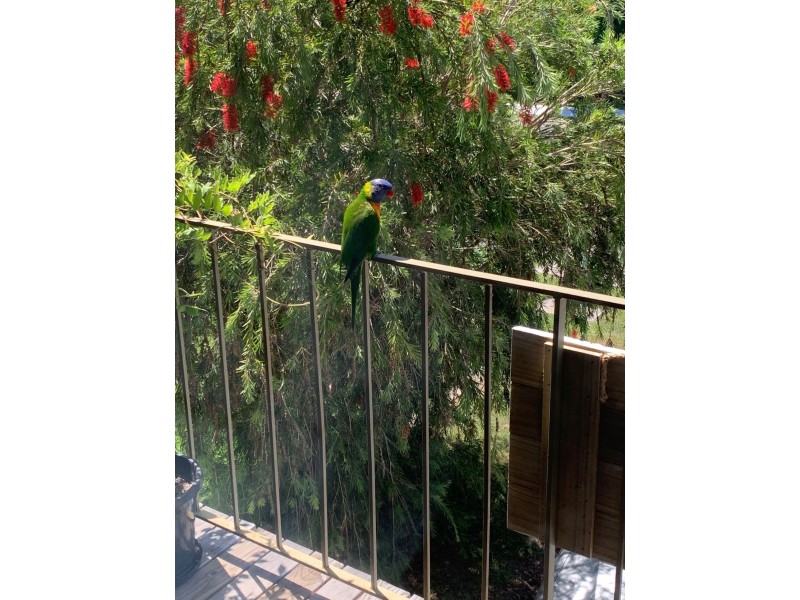 80 Osborne Terrace, Deception Bay QLD 4508