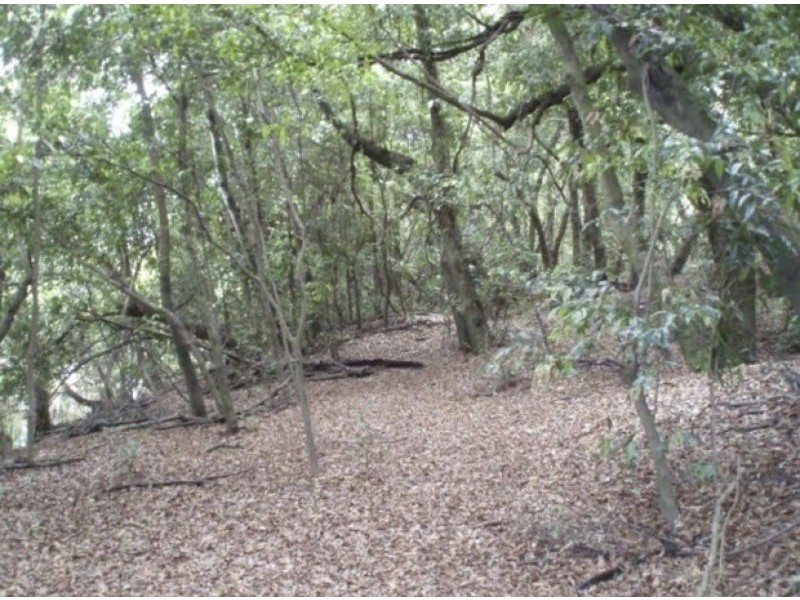 Lots 32 & 54 Ryans Gully Lane, Eatonsville NSW 2460