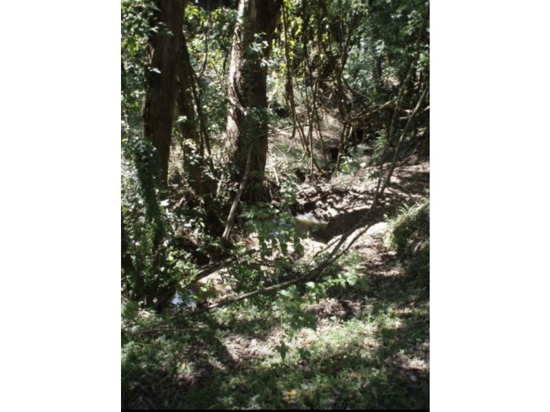 Lots 32 & 54 Ryans Gully Lane, Eatonsville NSW 2460