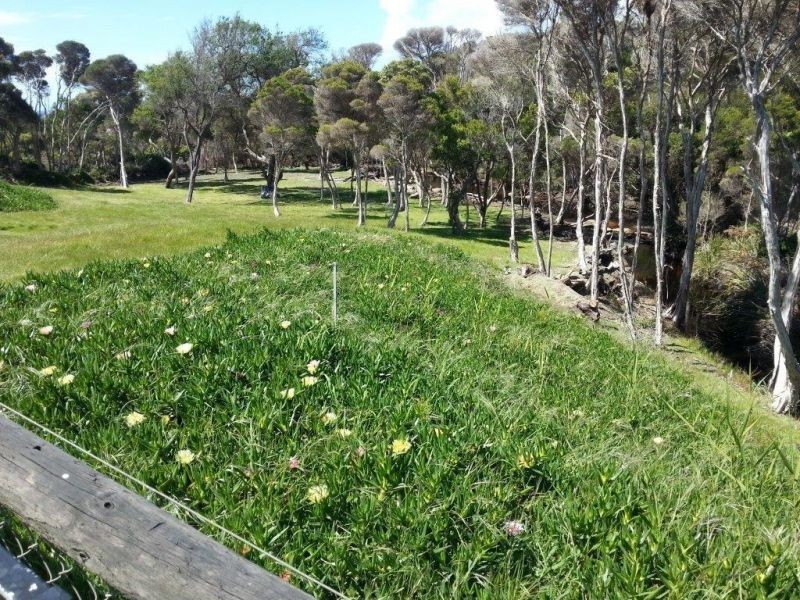 6 The Glade, Lulworth TAS 7252