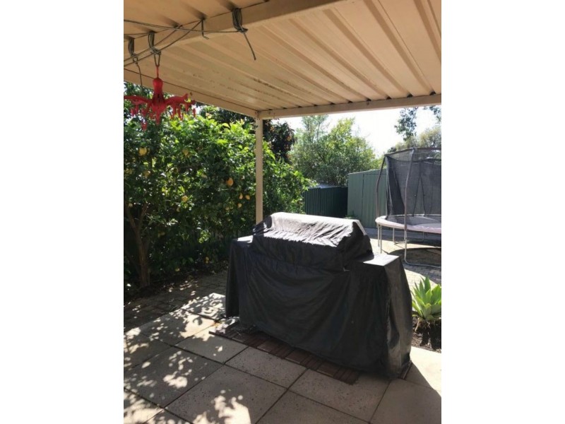 7 Mount Street, Bellevue WA 6056