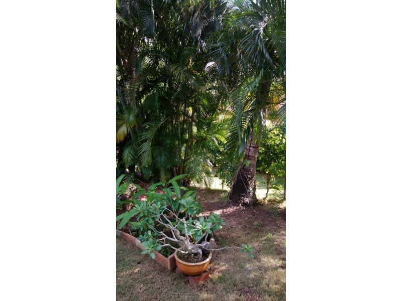 5 Coconut Grove, Christmas Island WA 6798