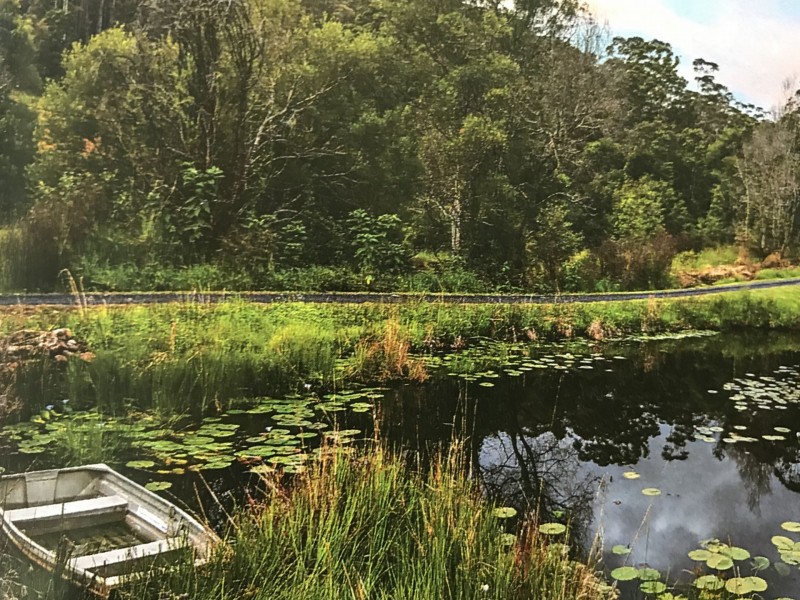 24a Jaboh Close, Upper Orara NSW 2450