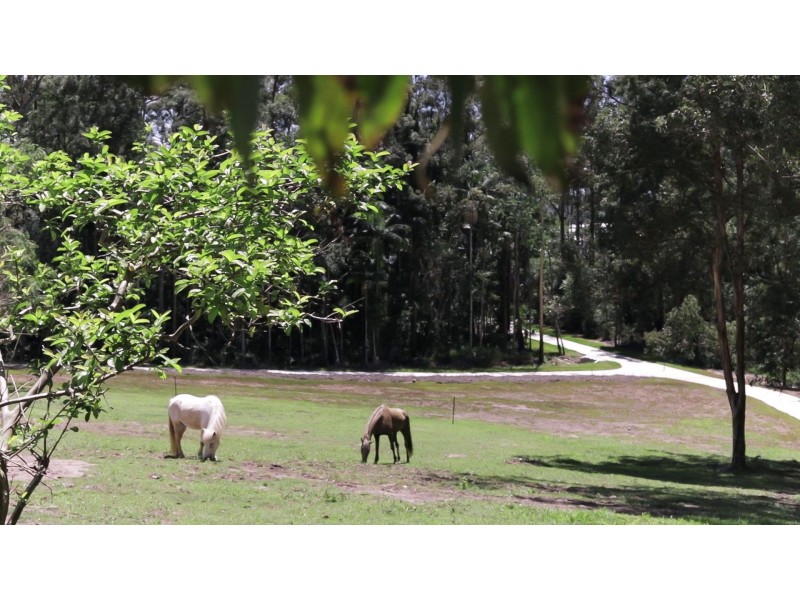 48 Honeyeater Place, Bli Bli QLD 4560