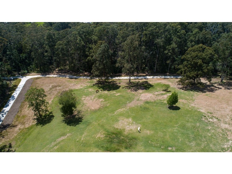 48 Honeyeater Place, Bli Bli QLD 4560