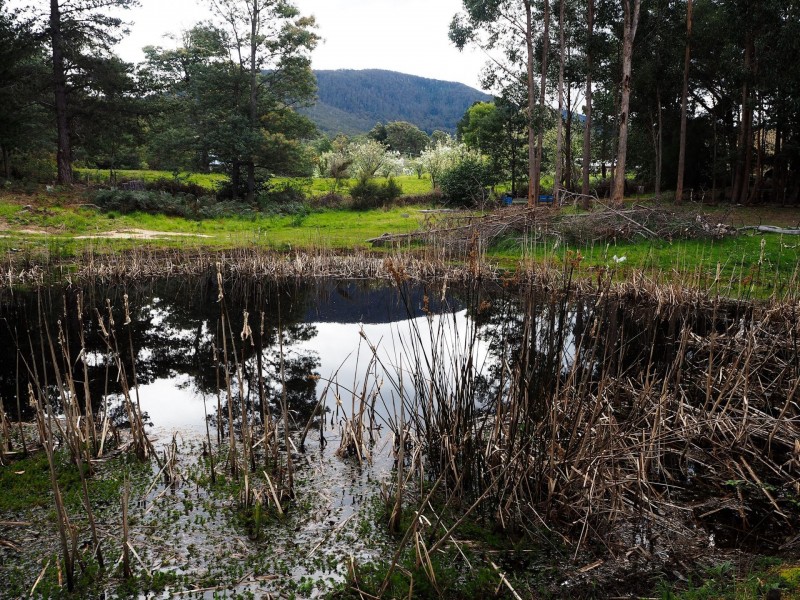 9 Potters Rd, Woodbridge TAS 7162