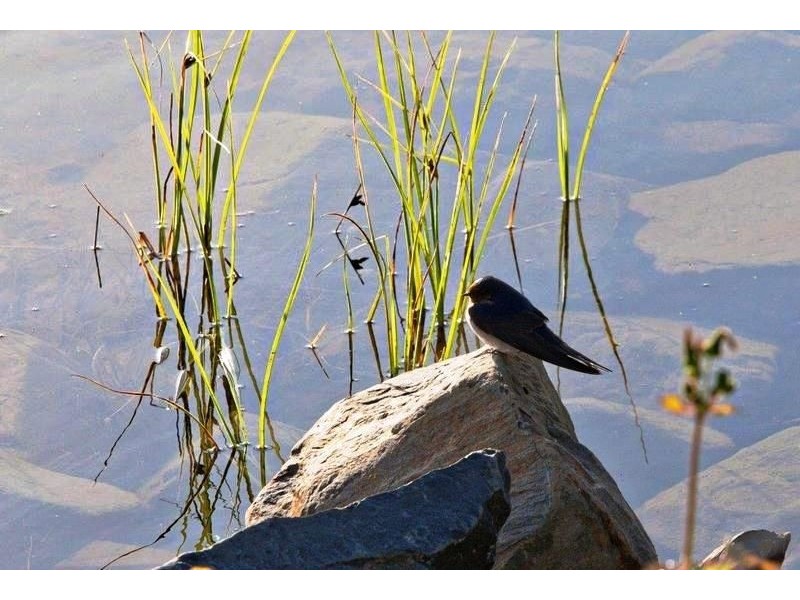 Lot Lot 80, 57 Sun Orchid Drive, Hayborough SA 5211