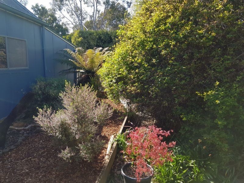36 Emma St, Bracknell TAS 7302