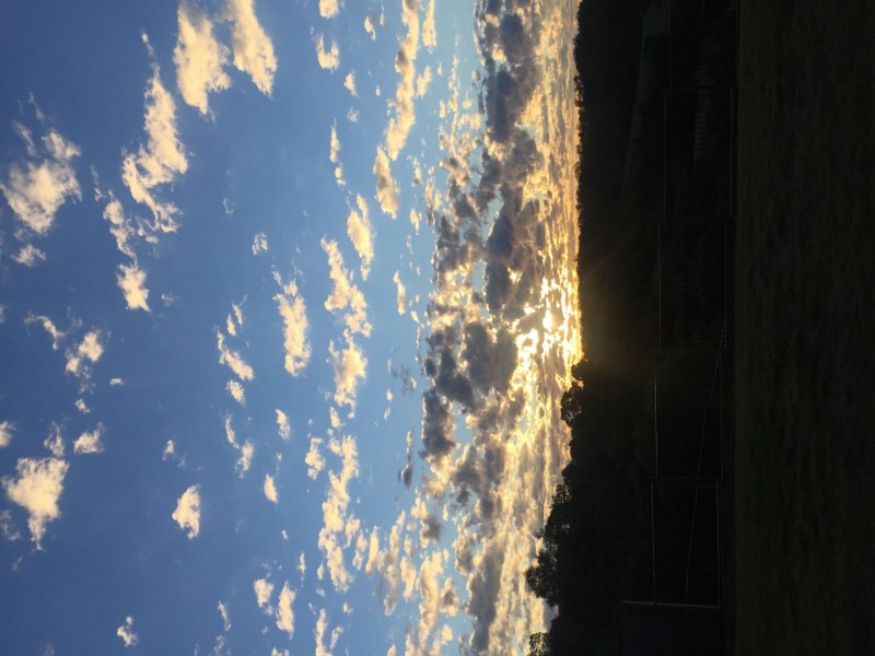 153 Dobson Road, Clear Mountain QLD 4500