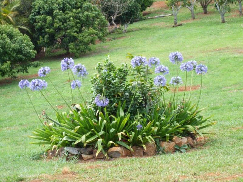 14 Bellview drive, Ravenshoe QLD 4888