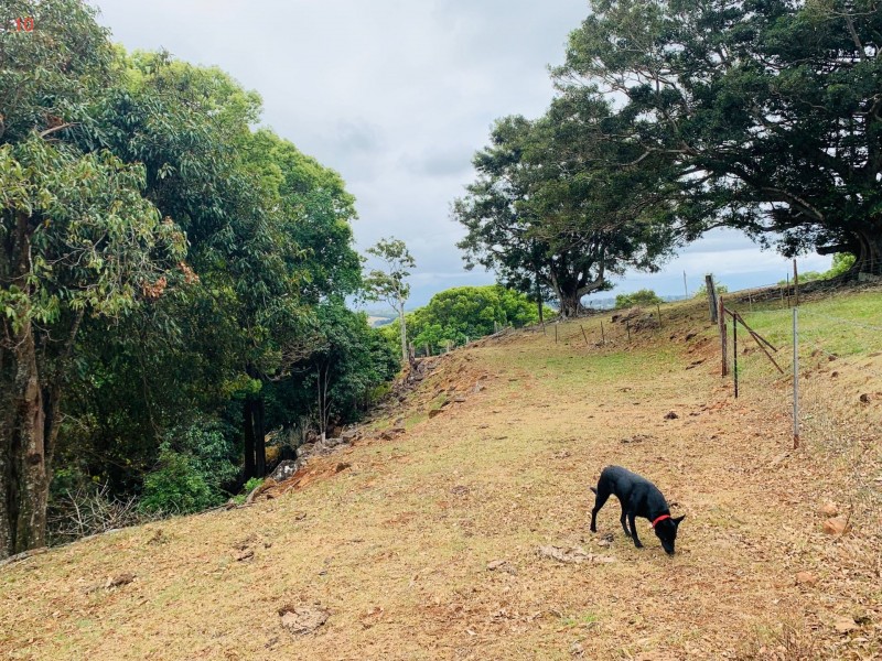 333 Coolgardie Rd, Ballina NSW 2478