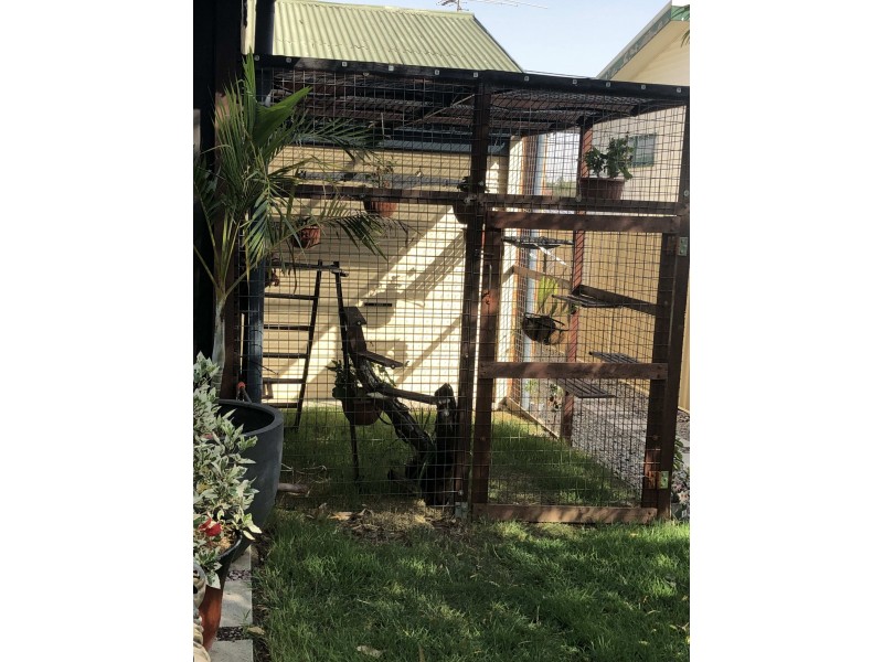 8 Arunta Street, Tarragindi QLD 4121