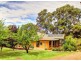 291 Winkie Road, Winkie SA 5343
