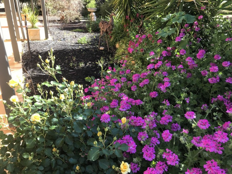 291 Winkie Road, Winkie SA 5343