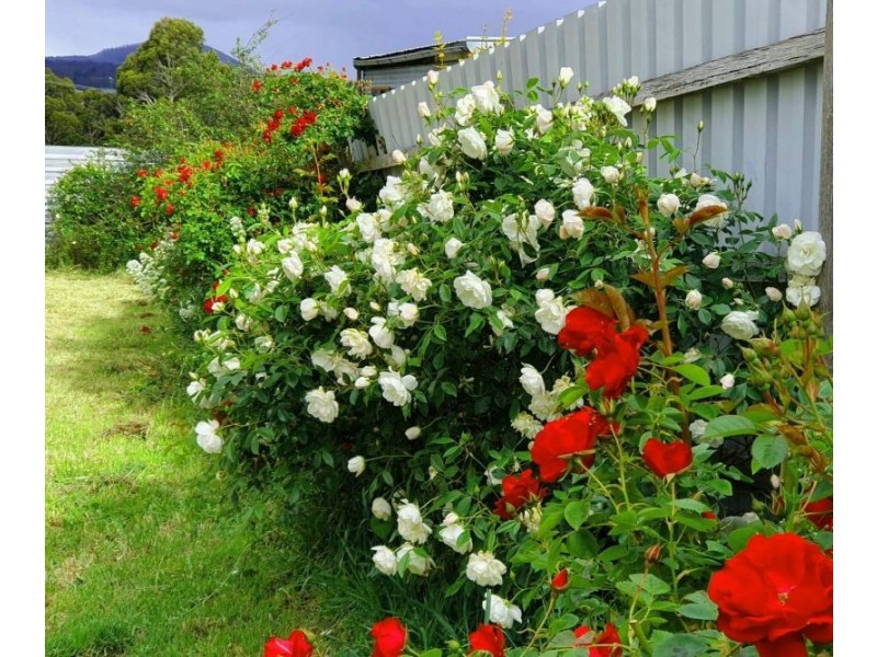 104 Sim St, Black Hill VIC 3350