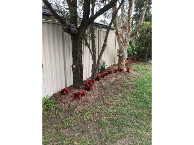 15 Crestbrook, Morayfield QLD 4506