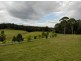 9914 Princess Hwy, Cobargo NSW 2550