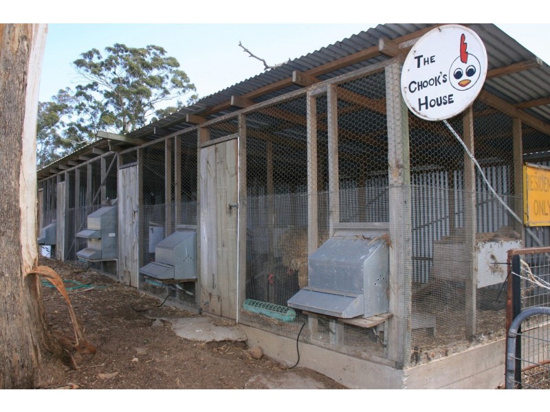 9914 Princess Hwy, Cobargo NSW 2550