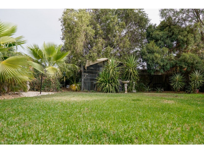 9 Allen Street, Wagga Wagga NSW 2650