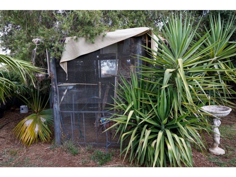 9 Allen Street, Wagga Wagga NSW 2650