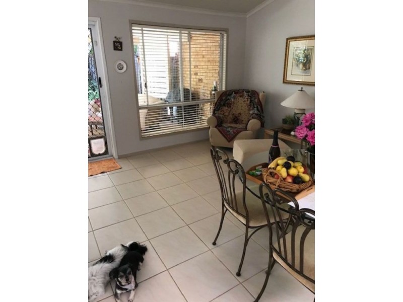 17 Elliott Street, Surfers Paradise QLD 4217