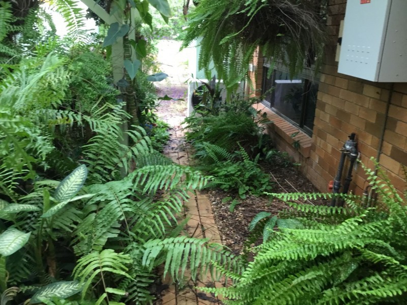 110 Cherryfield Rd, Gracemere QLD 4702