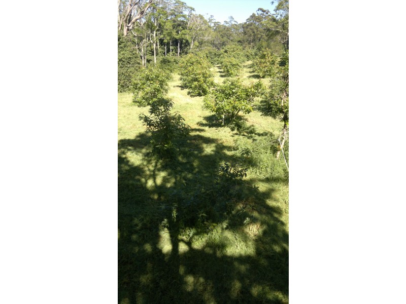 351 Kynoch Road, Ravensbourne QLD 4352