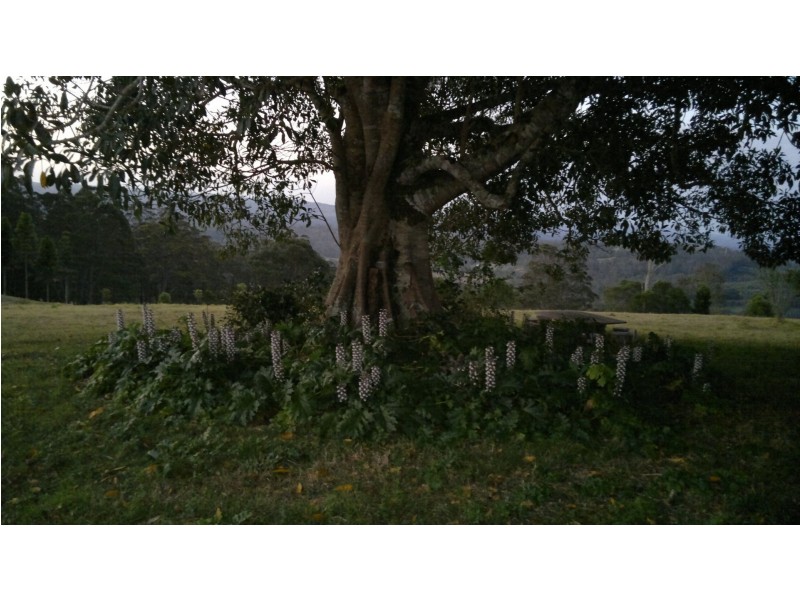 351 Kynoch Road, Ravensbourne QLD 4352