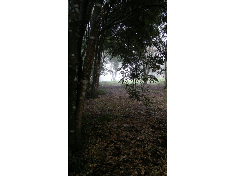 351 Kynoch Road, Ravensbourne QLD 4352