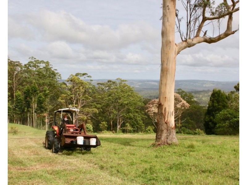 351 Kynoch Road, Ravensbourne QLD 4352