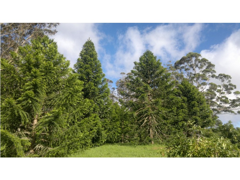 351 Kynoch Road, Ravensbourne QLD 4352