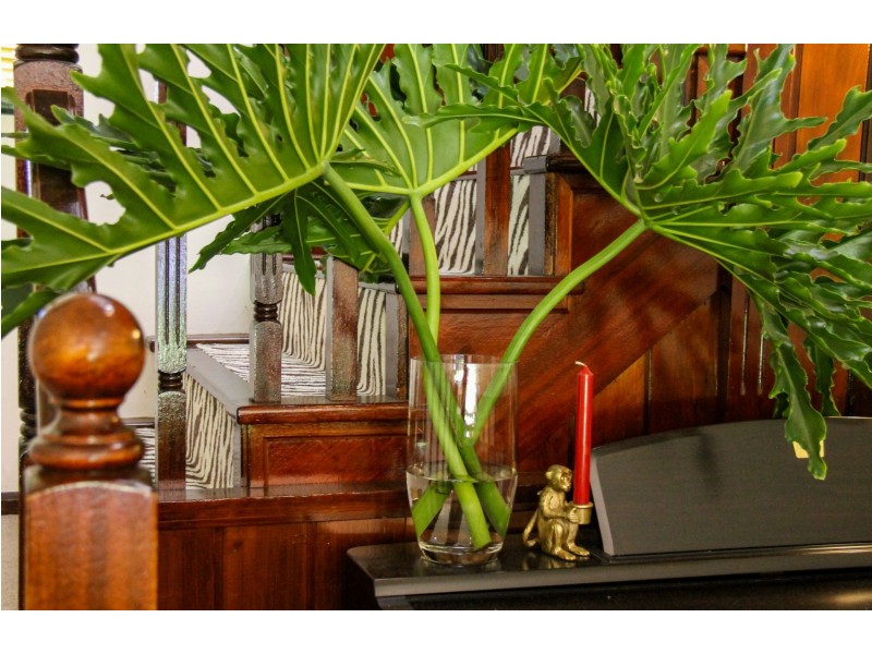 228 Johnston Street, Tamworth NSW 2340