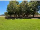 11 Mortar Pass, Byford WA 6122