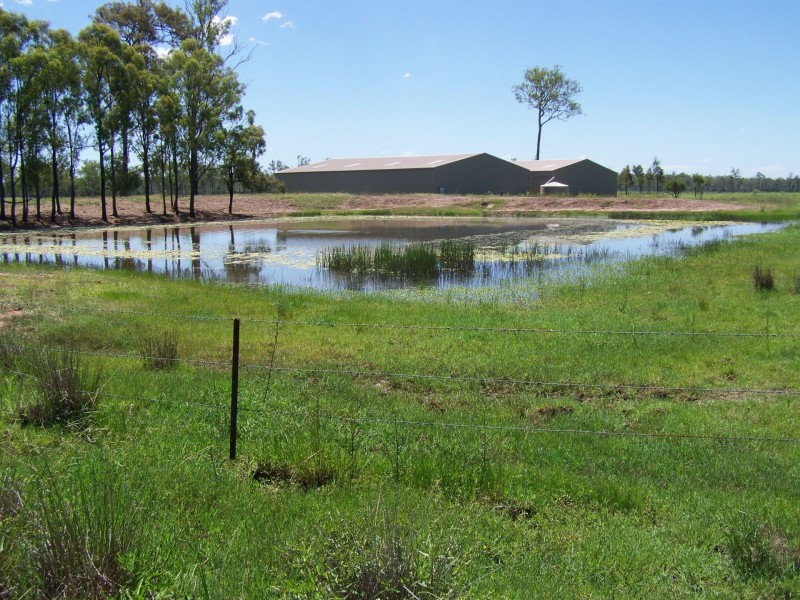 36 Seppanen Road, Mount Forbes QLD 4340