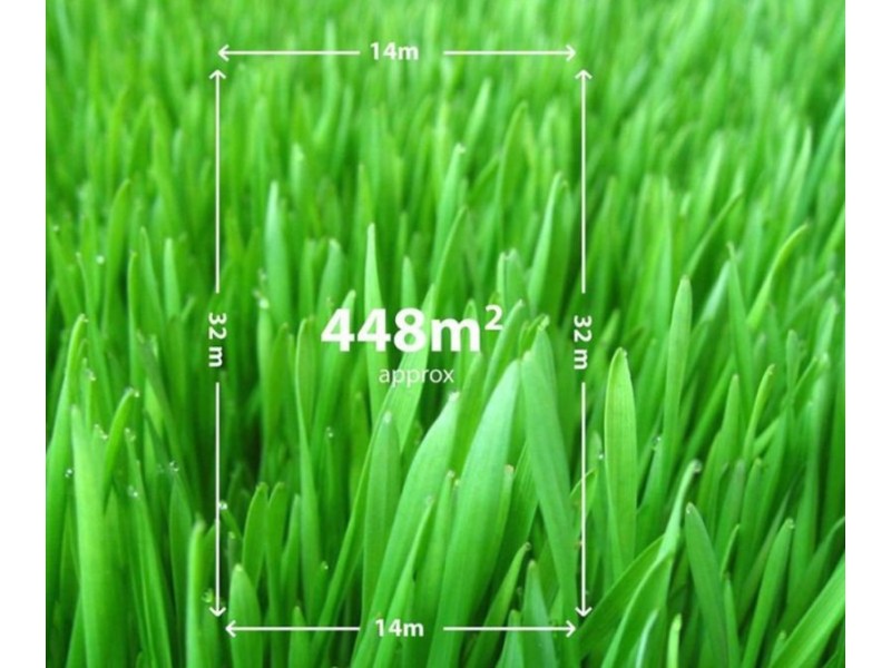 12 Pampas Street, Wyndham Vale VIC 3024