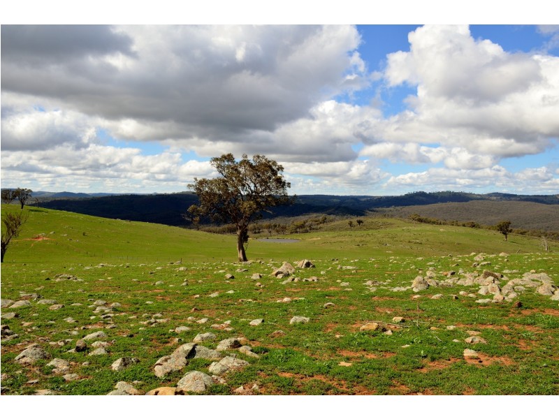 349 Posey Hill Road, Hill End NSW 2850