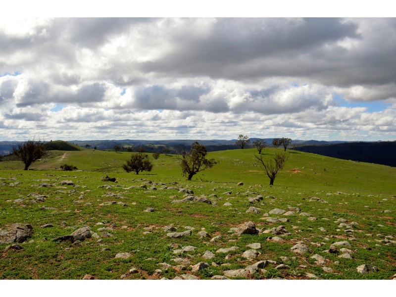 349 Posey Hill Road, Hill End NSW 2850