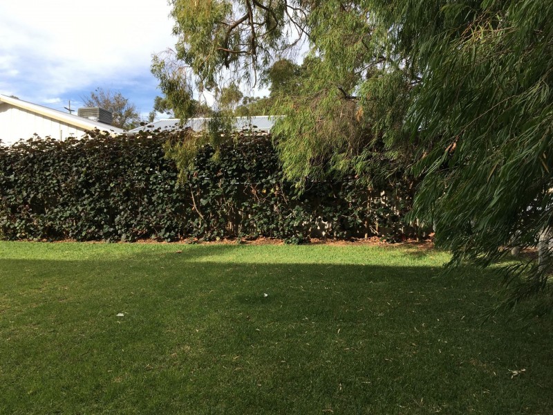 12 //41-43 Fairlight Street, Mosman Park WA 6012