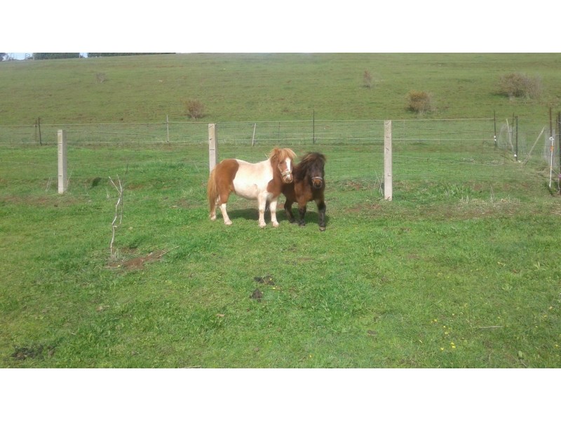 74 Brooke Street, East Devonport TAS 7310