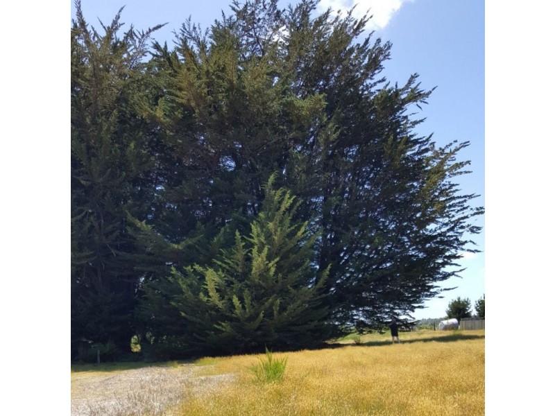 664 Waratah Road, Waratah TAS 7321