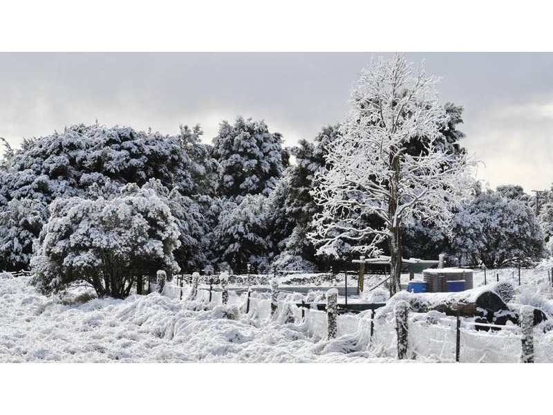 664 Waratah Road, Waratah TAS 7321