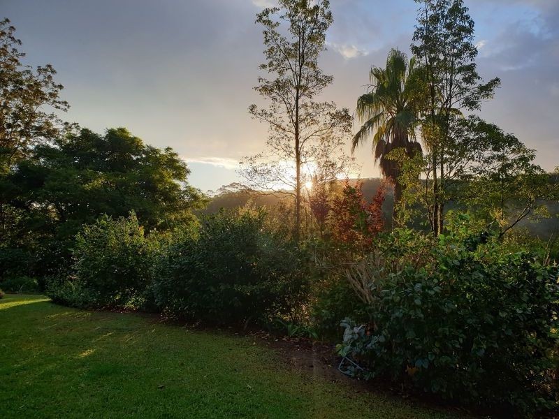 203 North Branch Road, Upsalls Creek NSW 2439