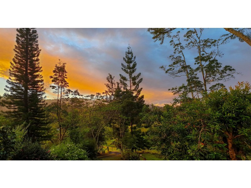 203 North Branch Road, Upsalls Creek NSW 2439