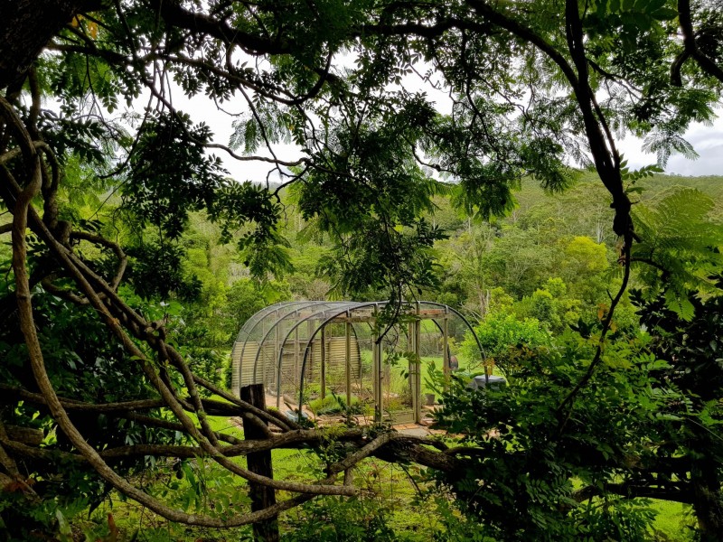 203 North Branch Road, Upsalls Creek NSW 2439