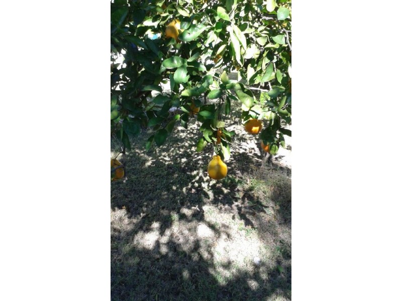 127 Goanna flats, The Gemfields QLD 4702