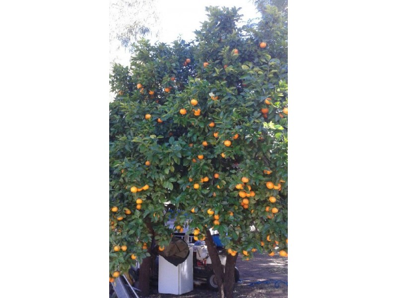 127 Goanna flats, The Gemfields QLD 4702